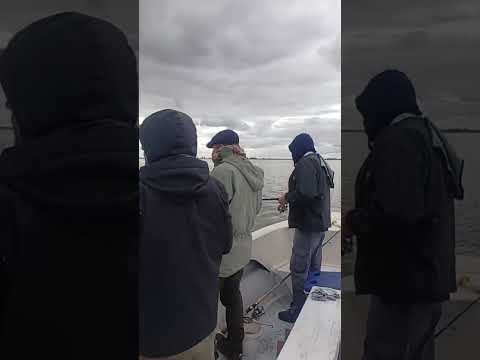 Muy buena pesca en Viamonte Laguna La Gringa | Viamonte, Córdoba  Reservas: Rodrigo 3537603333.