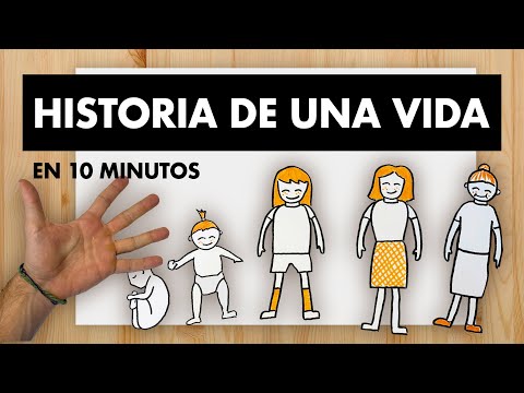 STORY OF A LIFE (HUMAN DEVELOPMENT) IN 10 MINUTES