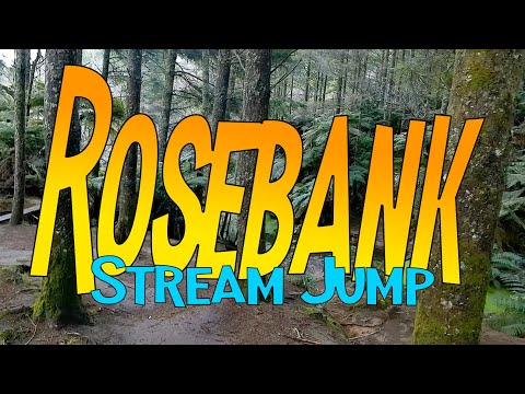 Rosebank Stream Crossing POV - WHAKA100 Favourite #whakatrails