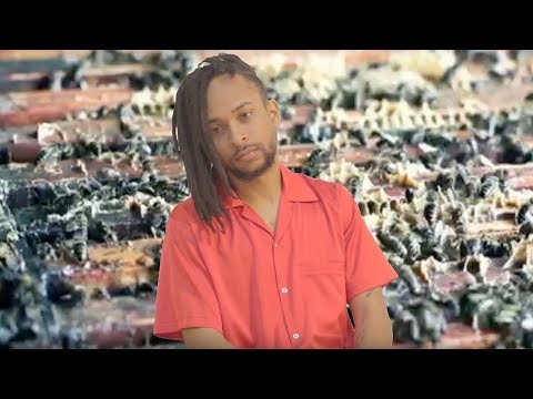 Khary - wifi (Official Video)