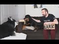 BarkBox March 2024 Unboxing Review Bow Wow Bayou