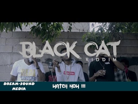 Various Artists - Black Cat Medley (Official Video Dancehall 2017) {Dakrome}
