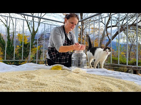 Delicious Tarhana for Cold Winter Days! โ๏ธ๐ฅฃ