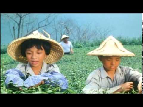 歌を聴いて英語を覚える～オリエンタルスタイル～台湾映画主題歌 英語字幕付き (【聽歌學英文-東洋風】 台灣電影 魯冰花主題曲 英文字幕版)