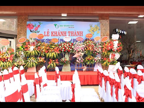 Giới thiệu công ty