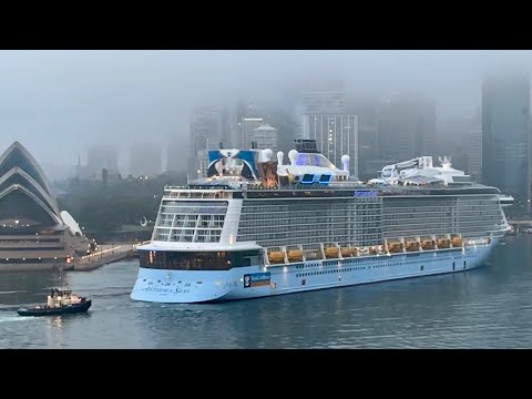 Thumbnail for The Cruise Ship Anthem of the Seas arrives in fog