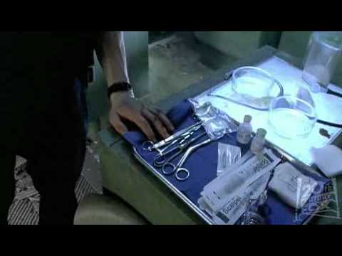 Minority Report internet trailer - 2002