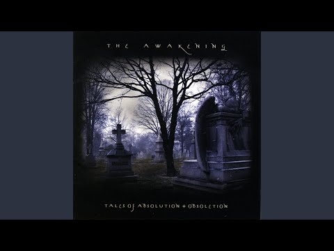 Nothing Like the Rain