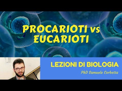 Collo male per attivarlo Benda ernia
