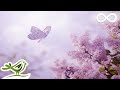 Relaxing Piano Music: Romantic Music, Beautiful Music, Soothing Sleep Music, Relaxing Music ★89 mp3 Relaxing Piano Music: Romantic Music, Beautiful Music, Soothing Sleep Music, Relaxing Music ★89 mp3