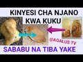 KINYESI CHA KUKU RANGI YA NJANO MAANA NA TIBA ZAKE