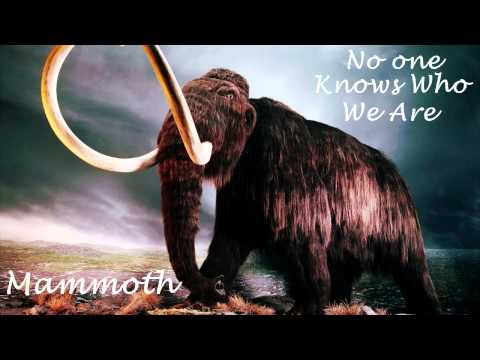 Dimitri Vegas & Like Mike, &Kaskade & Swanky Tunes Mammoth No One Knows Who We Are (Daniel MASHUP)