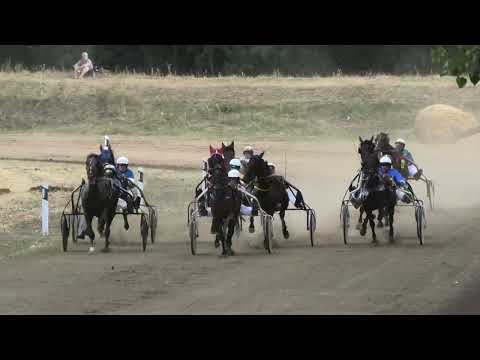 Trka "Porodica Vićentijević-Vodice" 31.7.2022. Elpenor A.T. Kečenović Monika