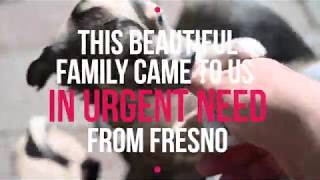 Hope is Always Possible