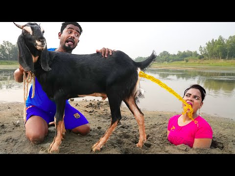 Must Watch New Special Comedy Video 2023 😎Totally Amazing Comedy Episode 220 #busyfunltd