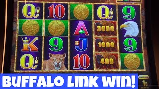 BUFFALO LINK BIG WIN! 🦬 PLUS STUFFED COINS WITH @sisteryoshi #yaamava #casino #slotmachine #bonus