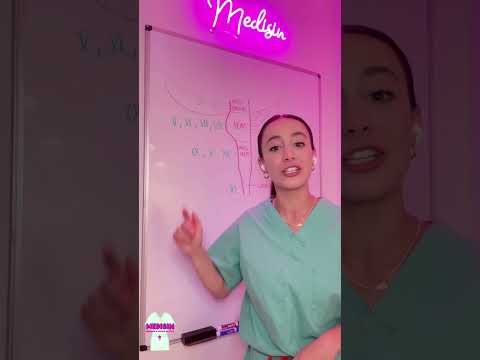 💥 CRASH COURSE - Cranial Nerves and the Brain Stem #medisin #medisinstyle #medicine #neuro #brain