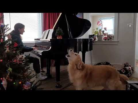 It's the Most Wonderful Time of the Year arr. Mark Hayes