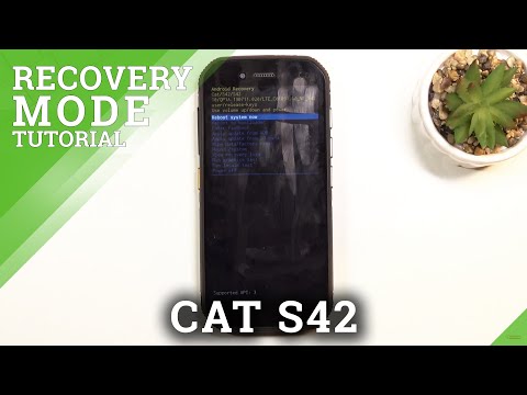 How to Enter Recovery Mode on CAT S42 – Open Hidden Menu