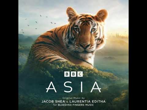 Asia - Suite - Jacob Shea & Laurentia Editha