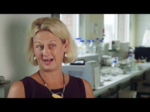 Preis der Stadt Wien für Veronika Sexl