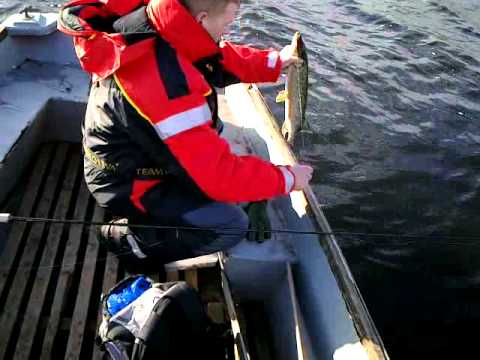 3. Malutki .Pike SZCZUPAK UK 06 Marzec 2011 Koniec sezonu