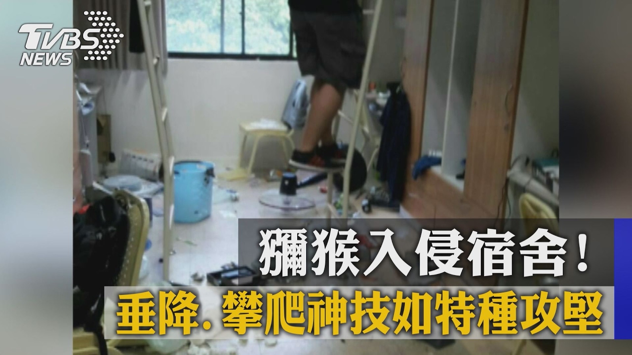 人猴鬥智大作戰！　學生串聯發訊息警告