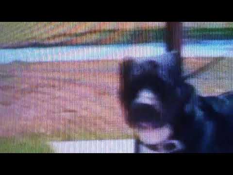 CERT1F1ED - j deezy f/JAMEZ (P)1RU aka THE REAL "B1G $P1TZ"... & eno$/KAO$  -OAKPARK BLOODZ