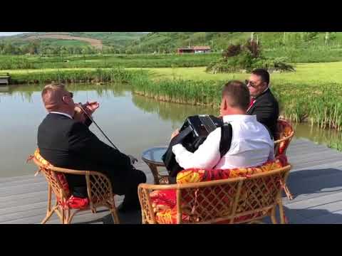 Gabriel Bunea - Joc LIVE 2018 Ceterasii de la Gherla