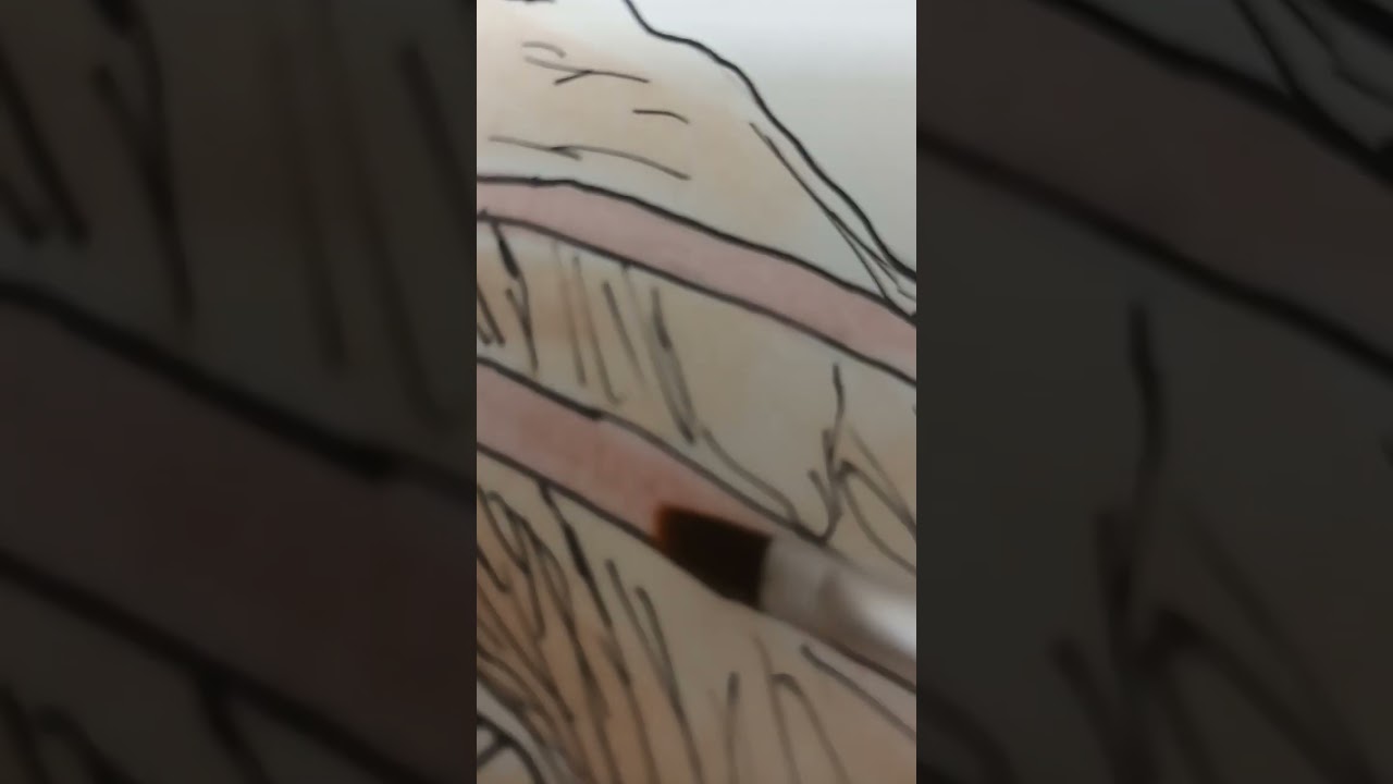 draw aphrodite with me #art #drawing #artist #painting #artwork