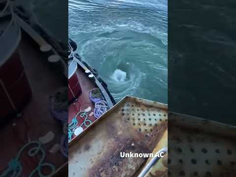 DAHA ÖNCE YENİ OLUŞAN BİR DENİZ GİRDABI GÖRDÜN MÜ ???  🌊🌊🌊🌊  #shorts