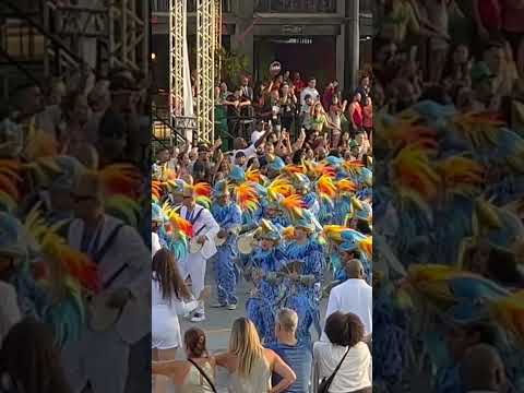 Paradinha 4 - Rosas de Ouro 2024