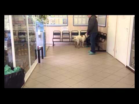 Артрит артроз суставов рук в руки Боль в спине от герпес