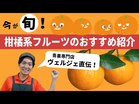 柑橘系の果物 – 果物の概要、利点、使用上のヒント