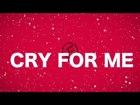 FooR x Effie - Cry FooR Me (Lyric Video)