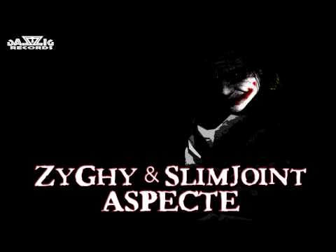 ZyGhy feat SlimJoint - Aspecte