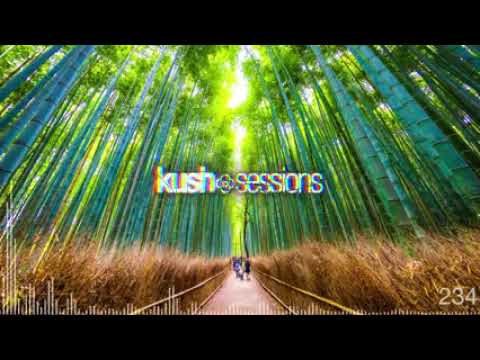#234 KushSessions (Liquid Drum & Bass Mix)