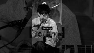 土佐拓也 - bird-cage #ガットギター #ライブ切り抜き #弾き語り #土佐拓也