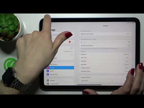 How to Unmute the Ringtone on the iPad 10th Generation (2022) - Turn On the Incoming Call Volume