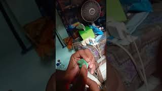 Download lagu mainan burung love bird mp3 Download lagu mainan burung love bird mp3