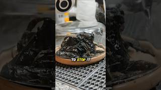 TikToker Finds Growing Meteorite in Backyard! 😳