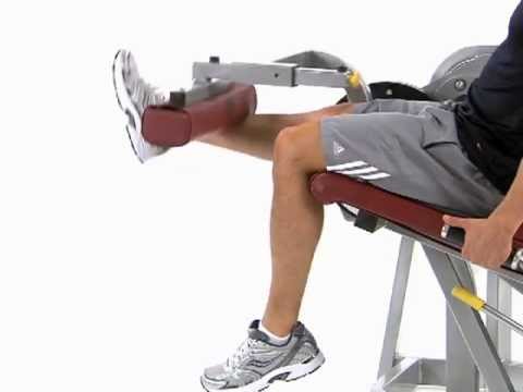 Alternating Leg Extension - Cybex Eagle Leg Extension