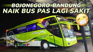 Download lagu Awalnya Nyaman, Tapi di Tengah Jalan Jadi Menderita 😭 Kalingga Jaya Bojonegoro - Bandung mp3 Download lagu Awalnya Nyaman, Tapi di Tengah Jalan Jadi Menderita 😭 Kalingga Jaya Bojonegoro - Bandung mp3