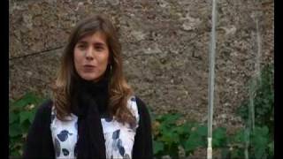 El estuche-Aterciopelados