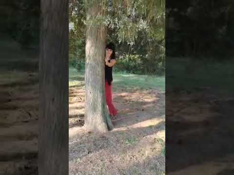 Ti imaš sve što želiš - Gorica Dujin