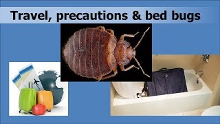 How To Prevent Bedbugs While Traveling