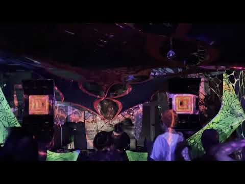 Megalopsy | One Night in Munich | The Element Festival |