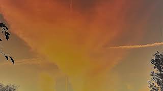 Dark and Darker - Mad Fighter (Live Chat)