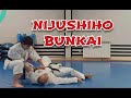 NIJUSHIHO KATA BUNKAI Karate Kata Shotokan Bunkai