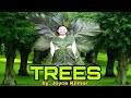 TREES by: Joyce Kilmer